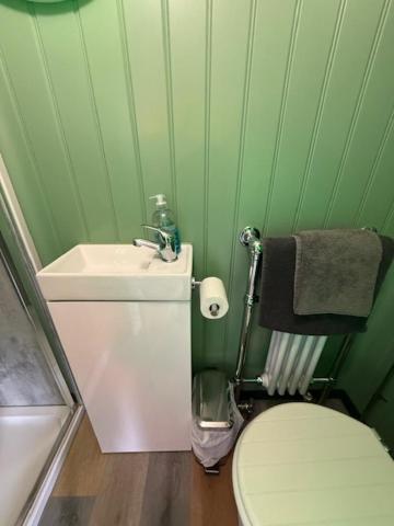 Ted'S Shed Apartman Bishop Auckland Kültér fotó